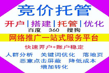 某公司SEM优化成功案例：从零到一的流量增长